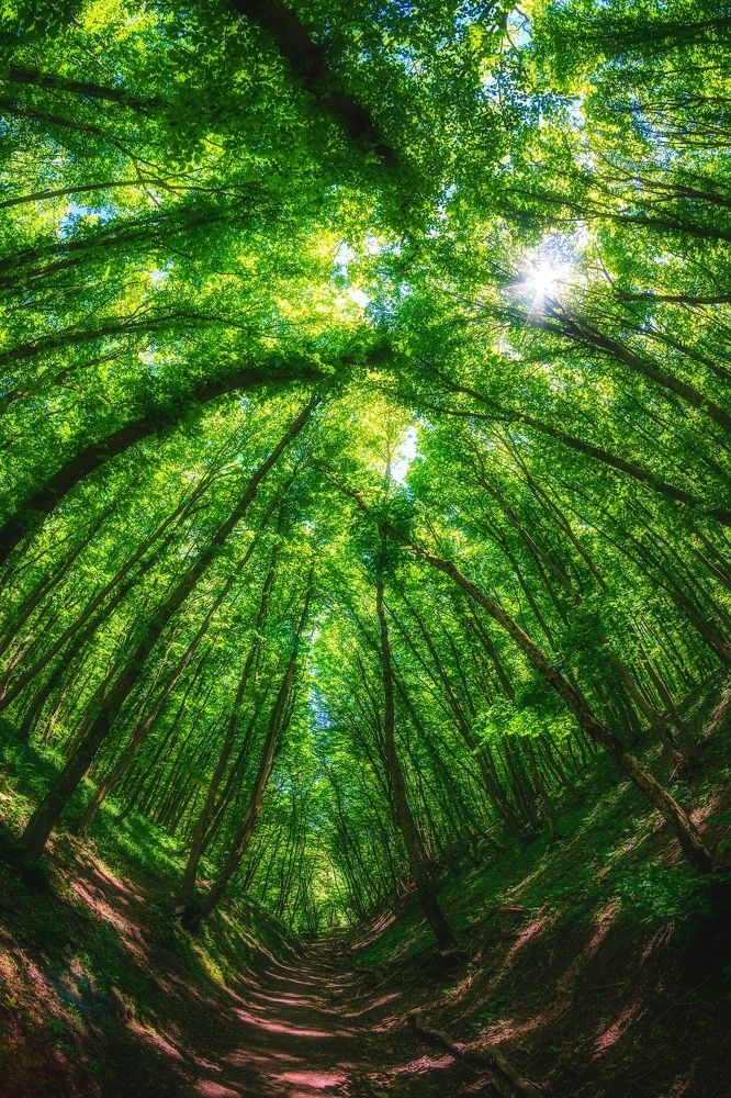 Photograph by Рымаров Александр