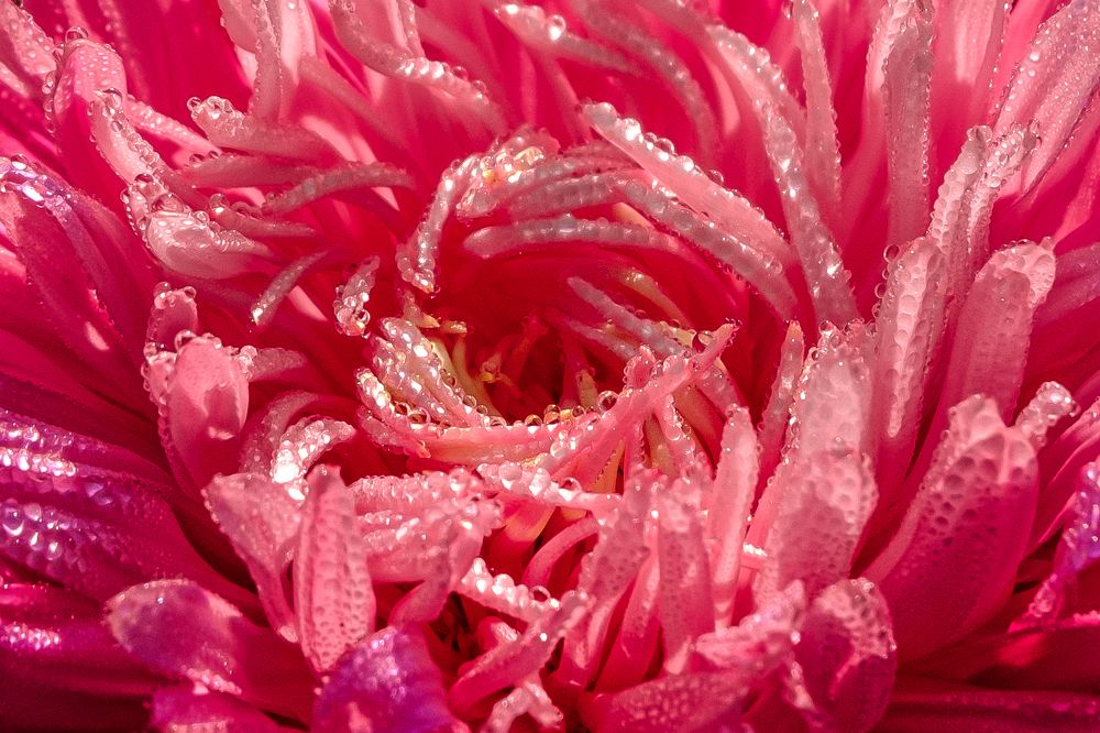 Photograph by Максимов Алексей