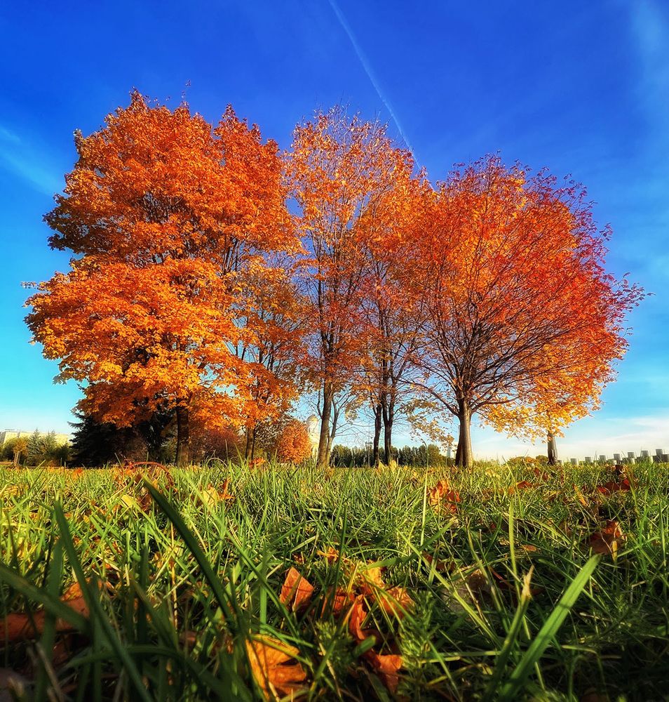 Красный октябрь