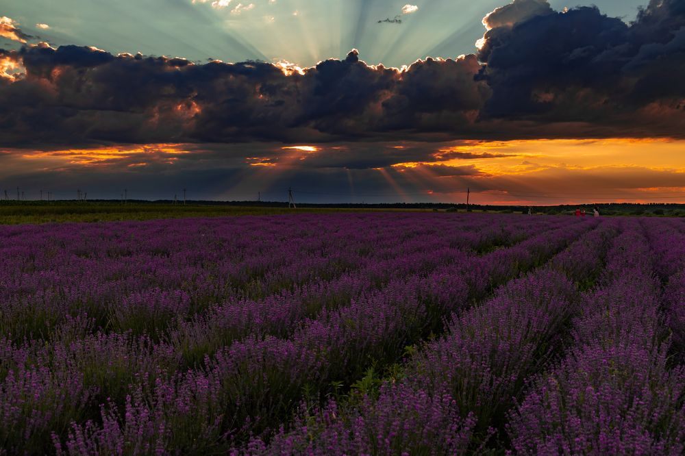 Photograph by Анастасия Малахова