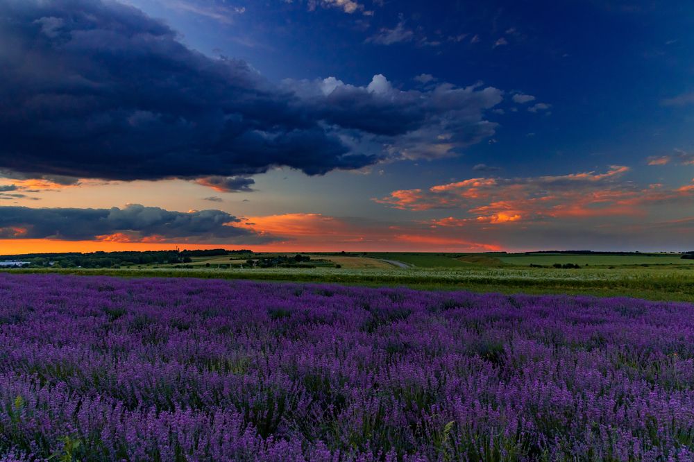 Photograph by Анастасия Малахова