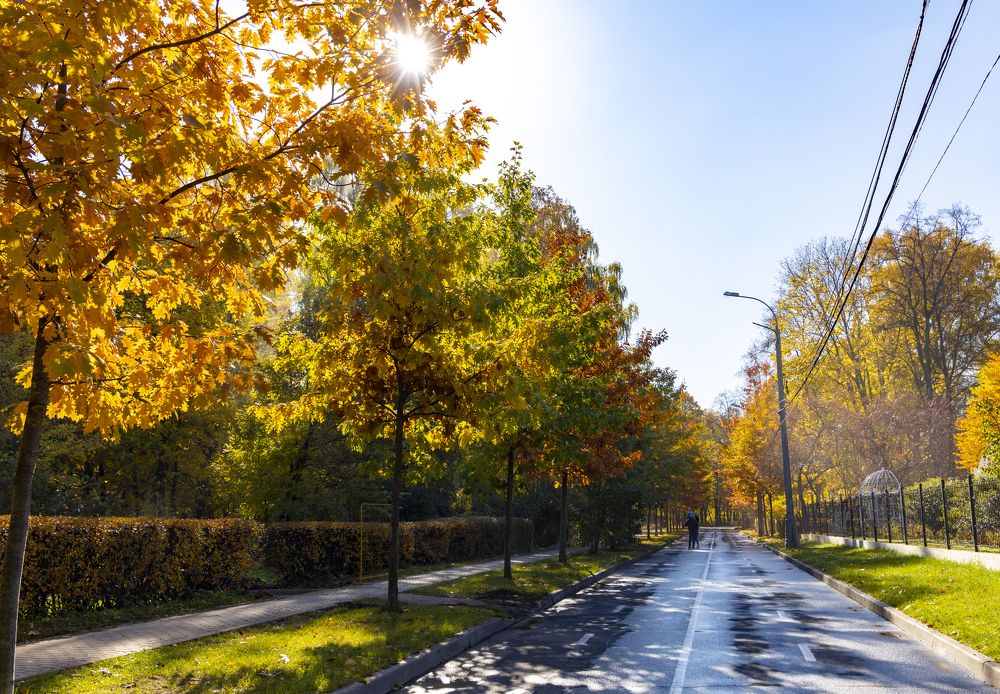 Photograph by Анастасия Малахова