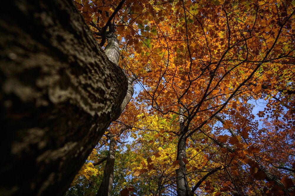 Фотография автора Оксана Белозерская