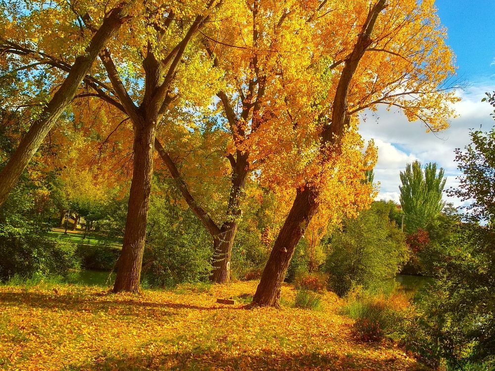 Фотография автора Алексей Головатый