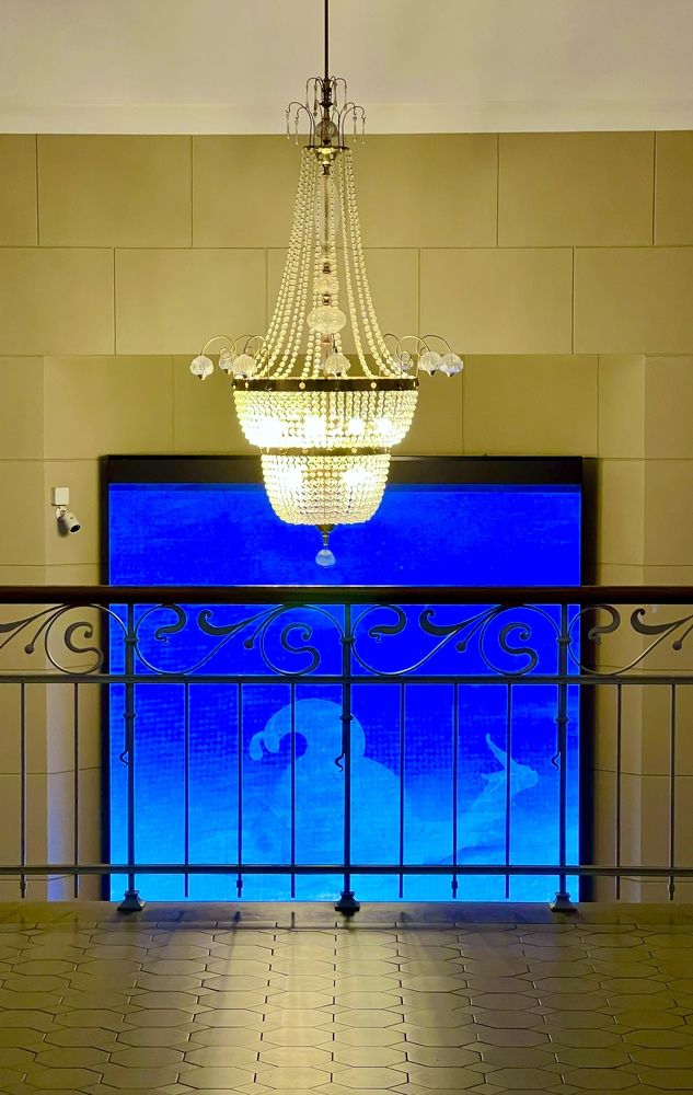 Photograph by Анна Лепихина