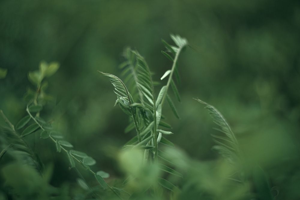 Photograph by Роман Павлов