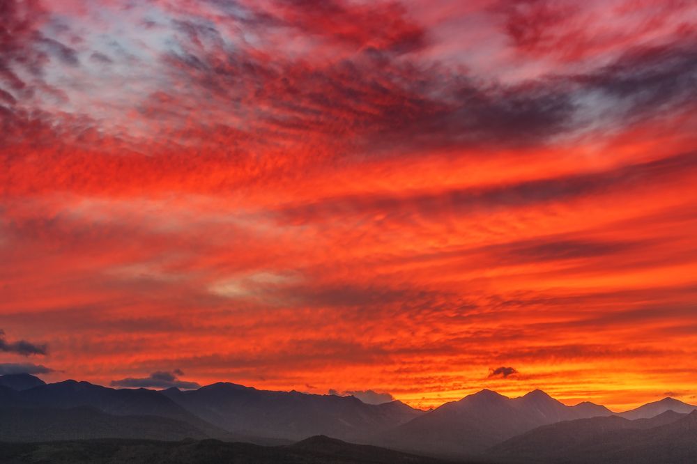 Photograph by Максин Александр