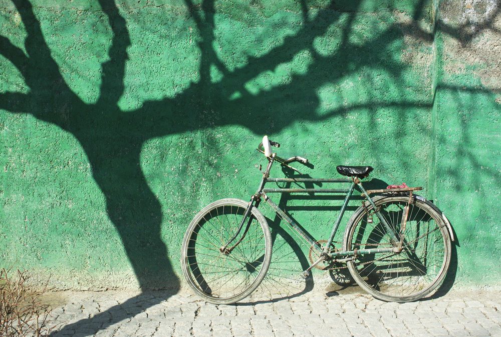 Фотография автора Ghadir Vaghari