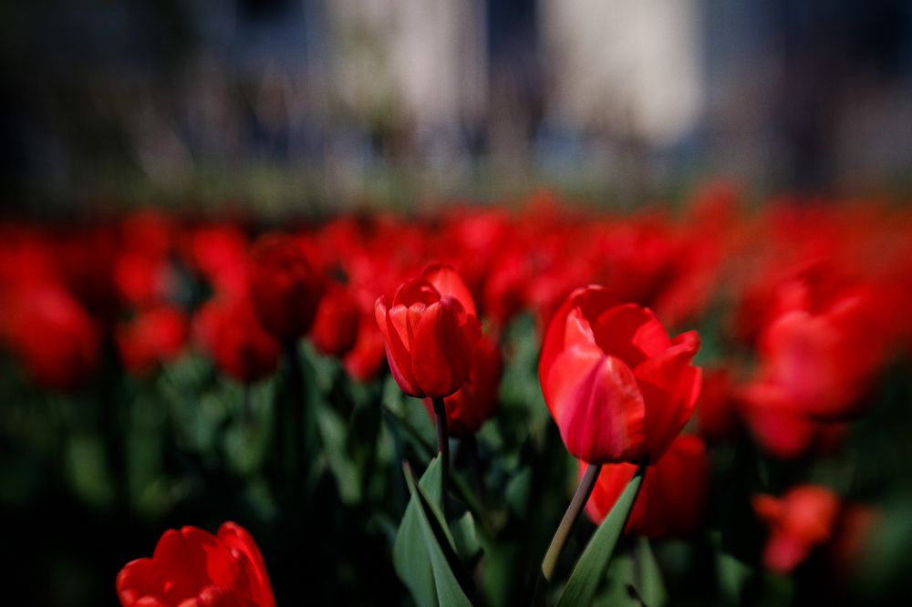Photograph by Елена Берсенёва