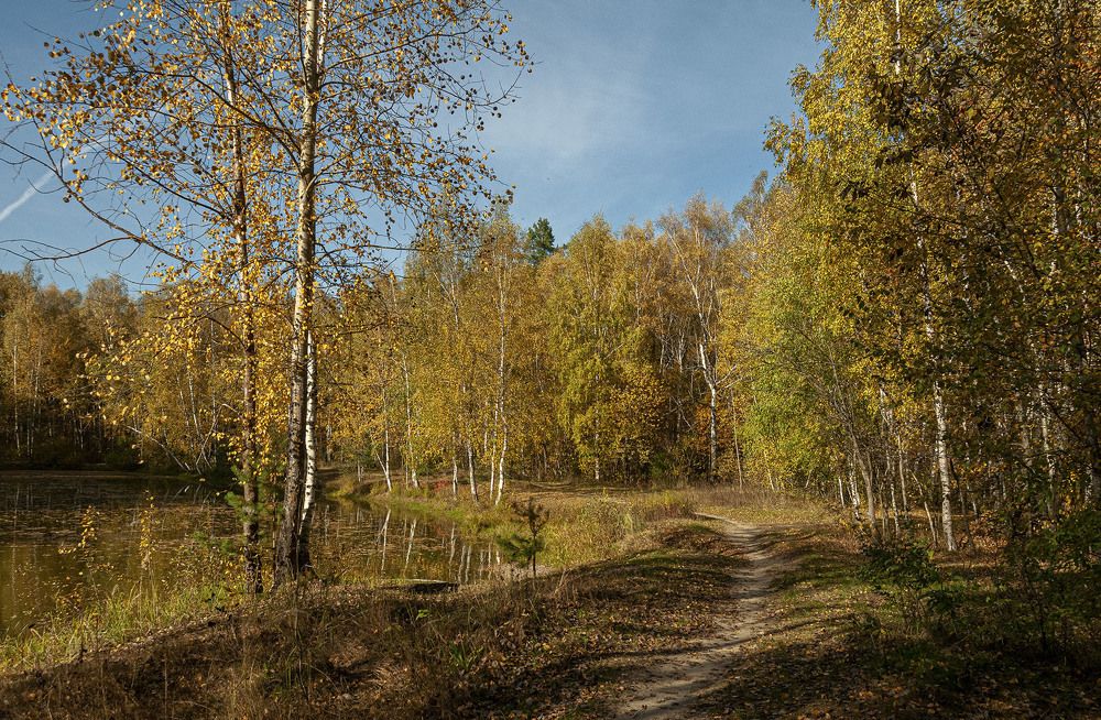 Photograph by Vladimir  Komarov