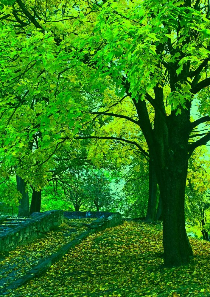 Фотография автора Сергей Барановский