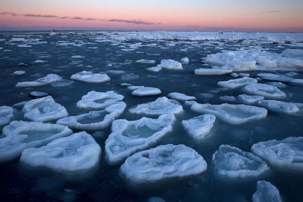 Photograph by Артем Удодов