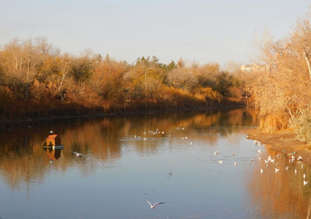 Photograph by Сергей Чеченов