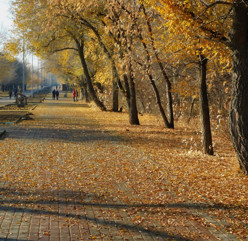 Photograph by Сергей Чеченов