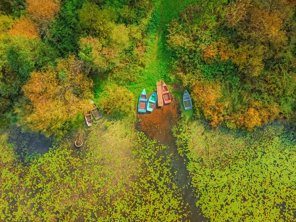 Photograph by Дмитрий Пасынков