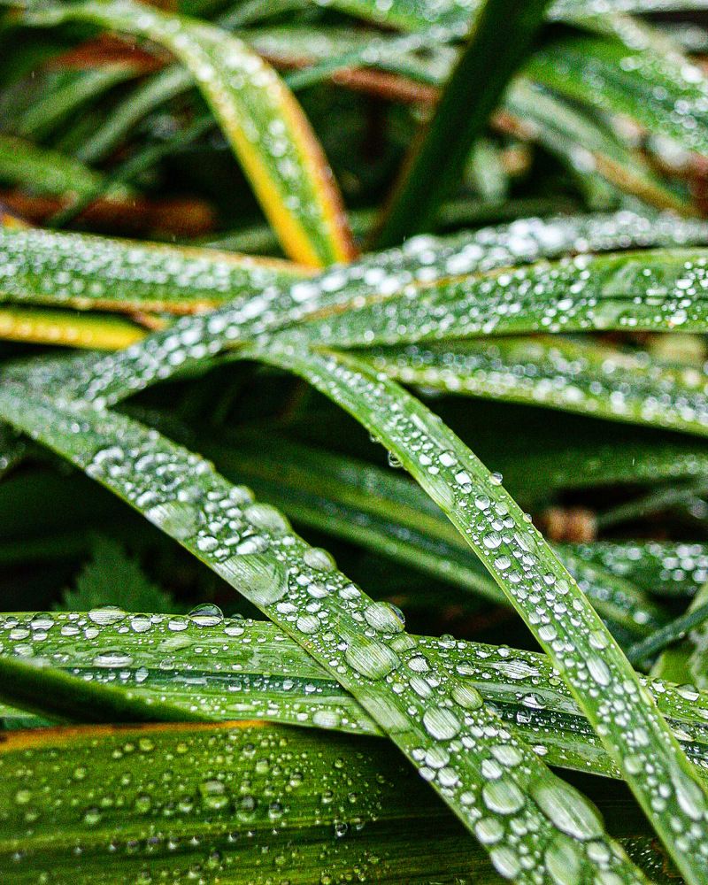 Photograph by Светлана