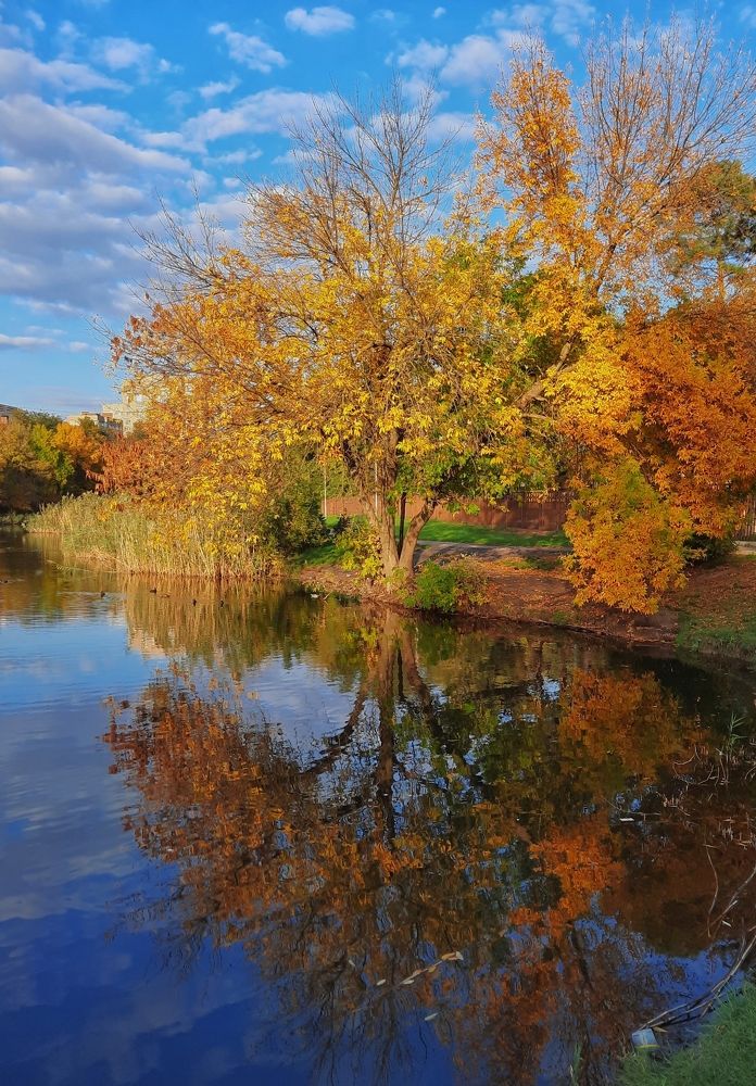Отражение осени.