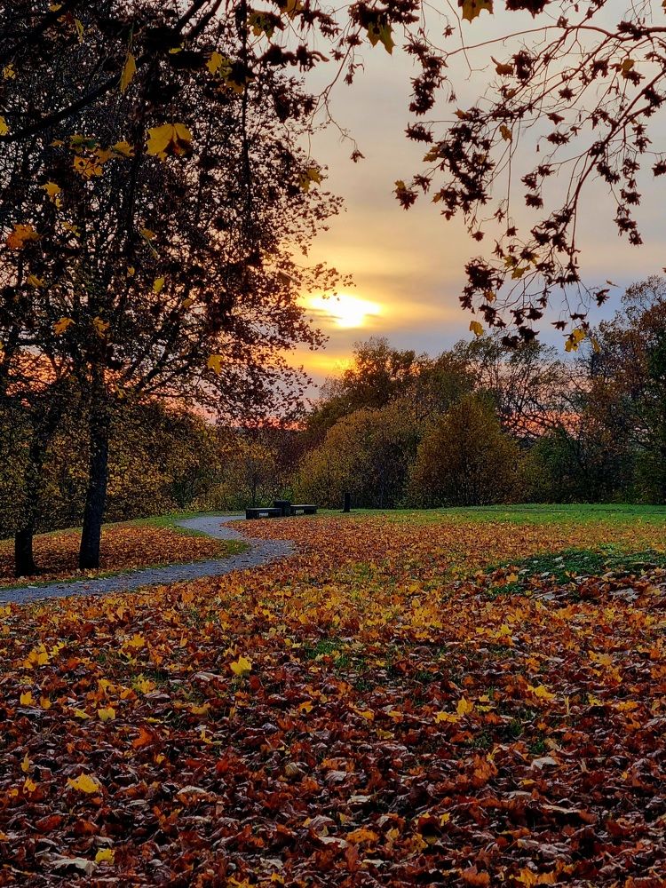 Photograph by Elena Tamošauskaite