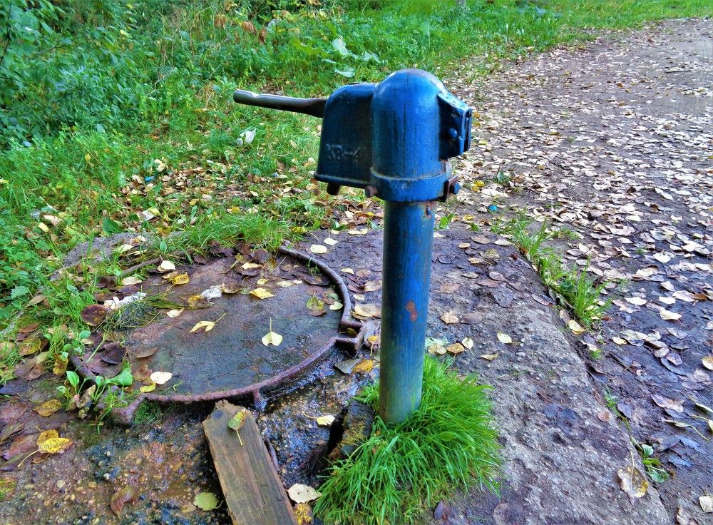 Photograph by Владимир Джерихов