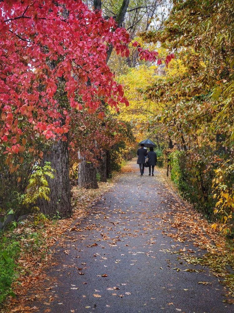 Photograph by Сергей Пермин