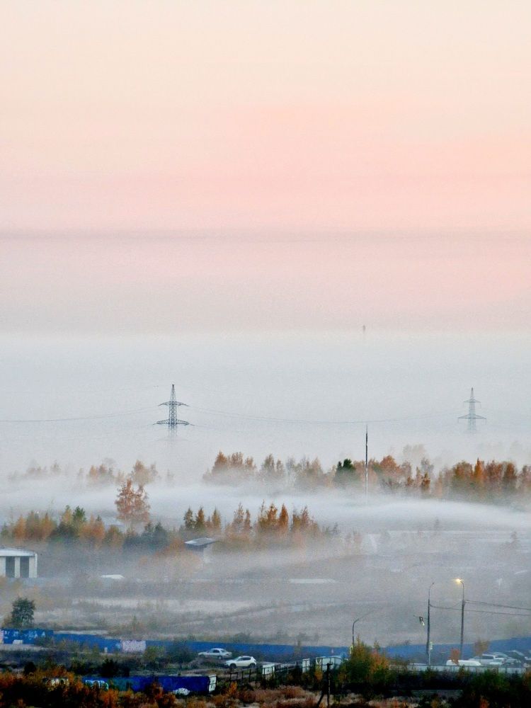 Photograph by Марина Савинская