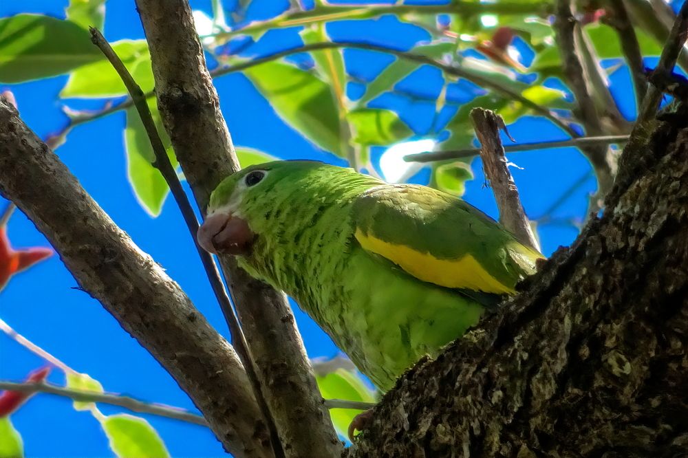 Photograph by Marcelo Luzzi