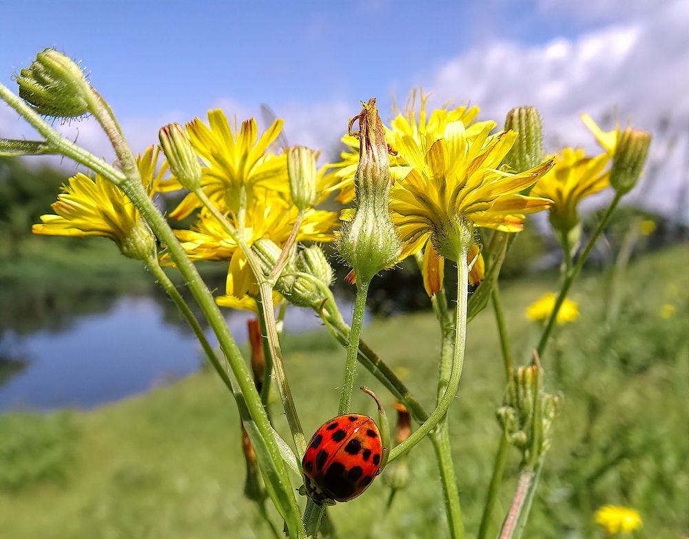 Photograph by Marcelo Luzzi
