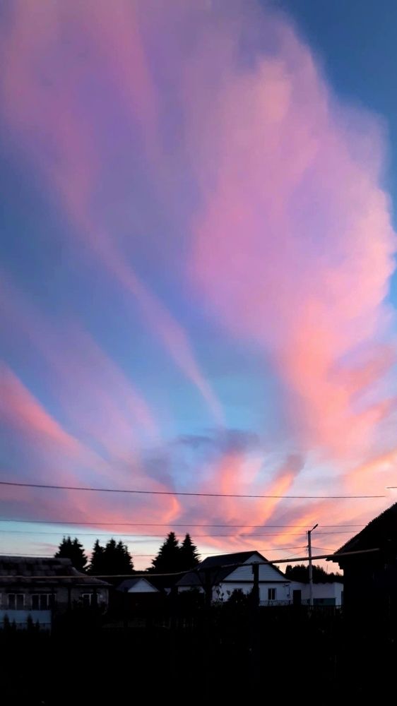 Photograph by Оксана Ходжаева