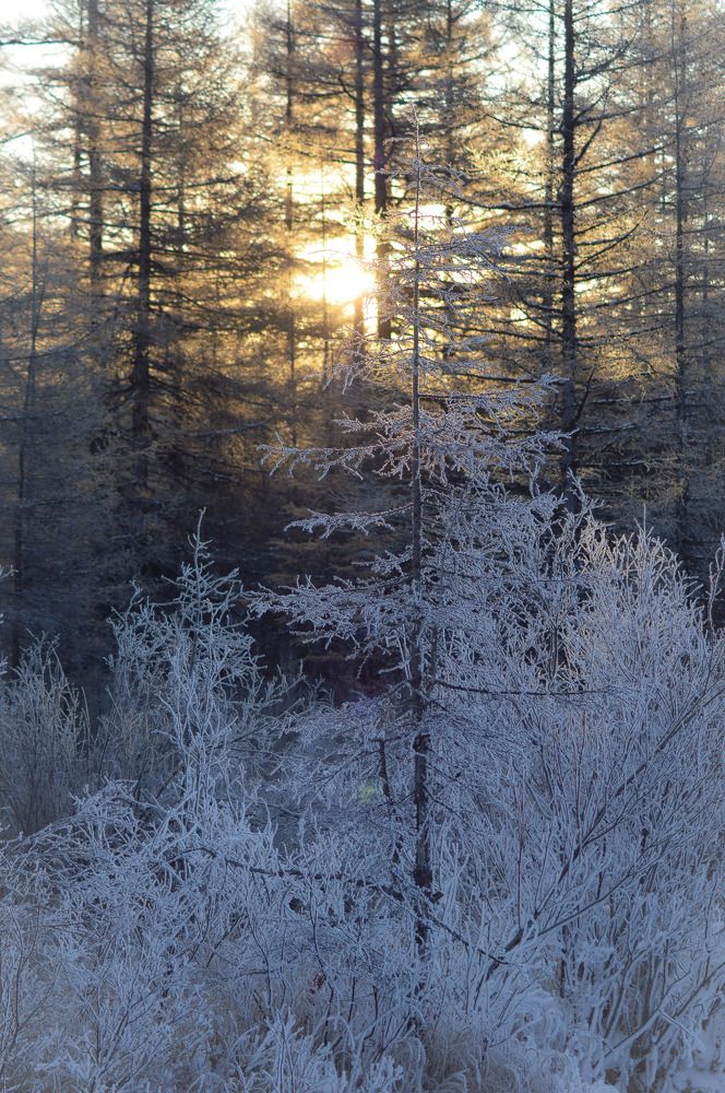 Photograph by Александра Красникова