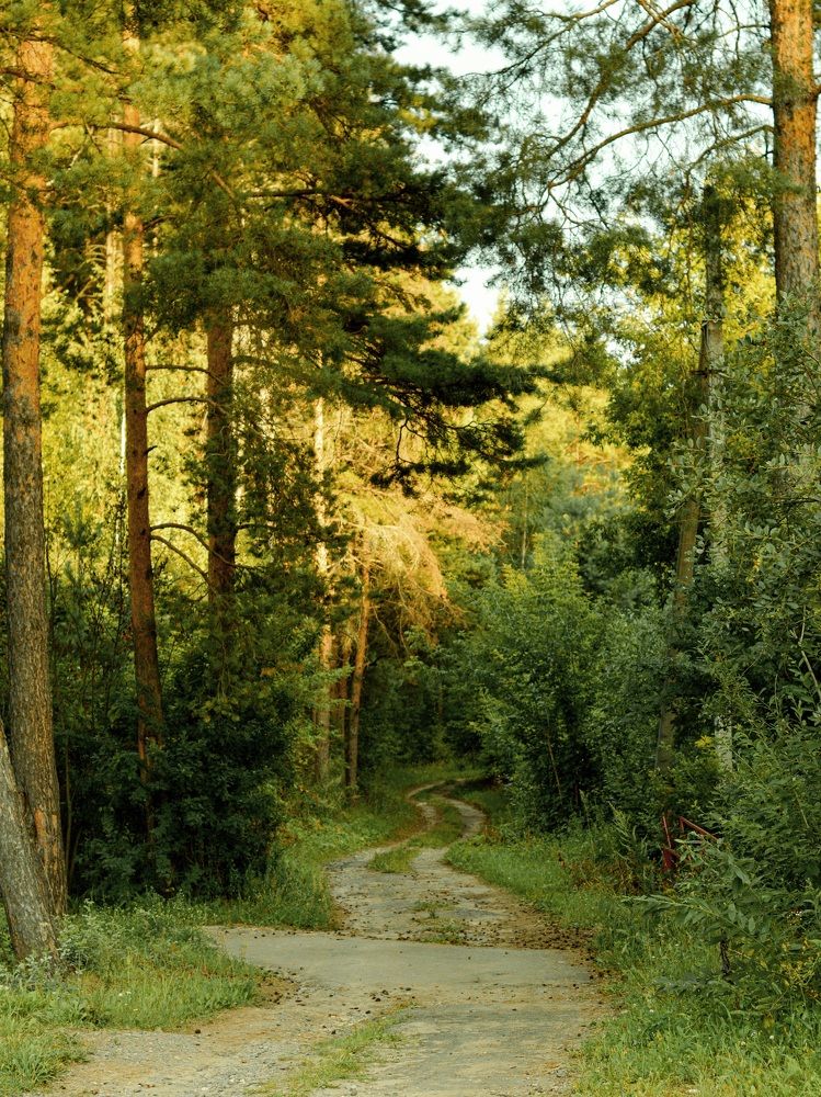 Photograph by Елена Квасова