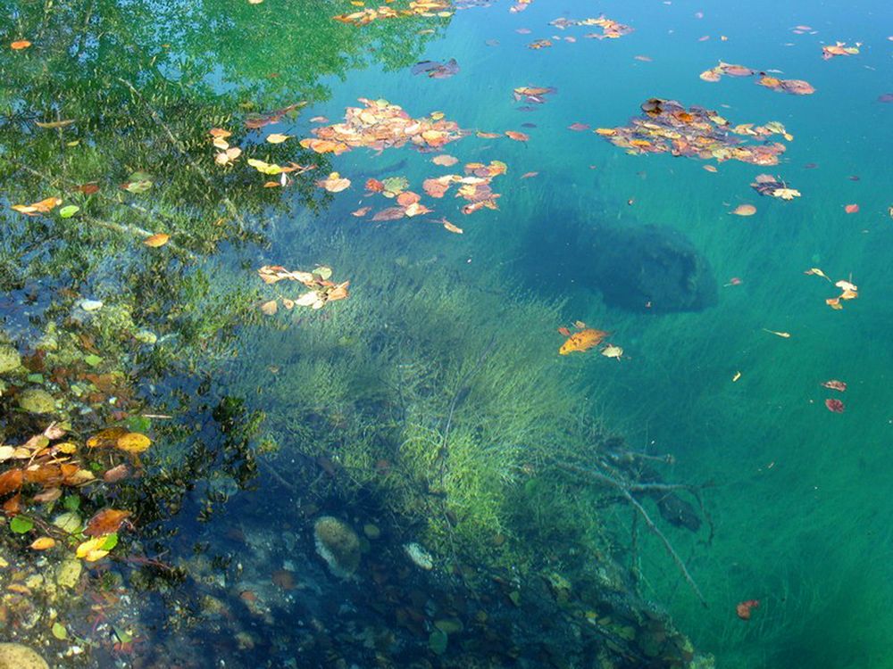 Photograph by Сергей