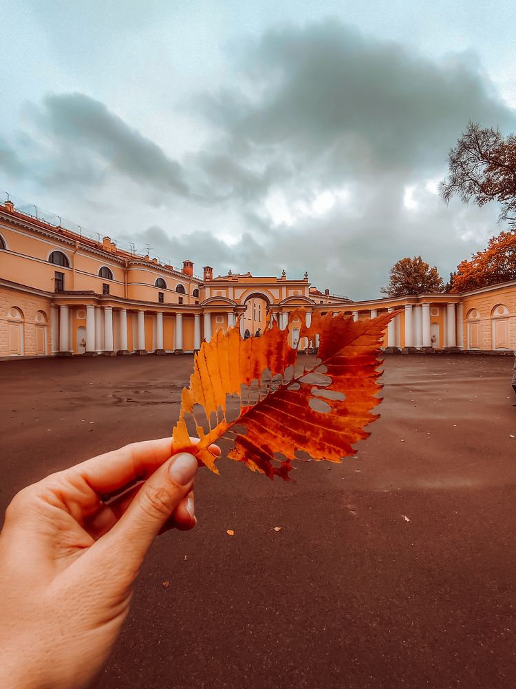 Photograph by Олеся Хижко