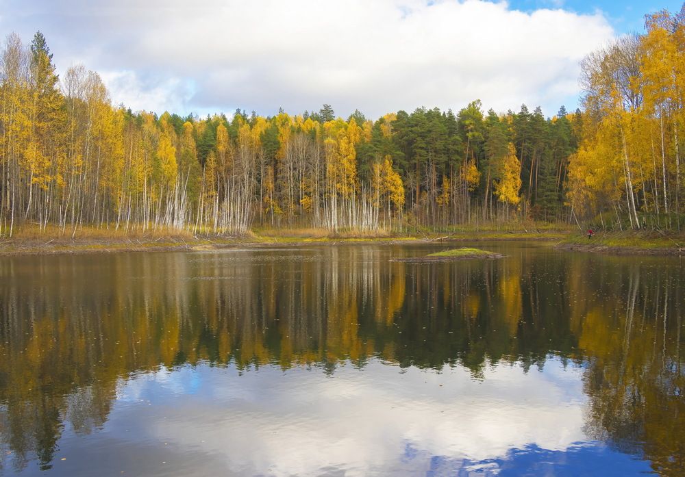 Озеро лесное