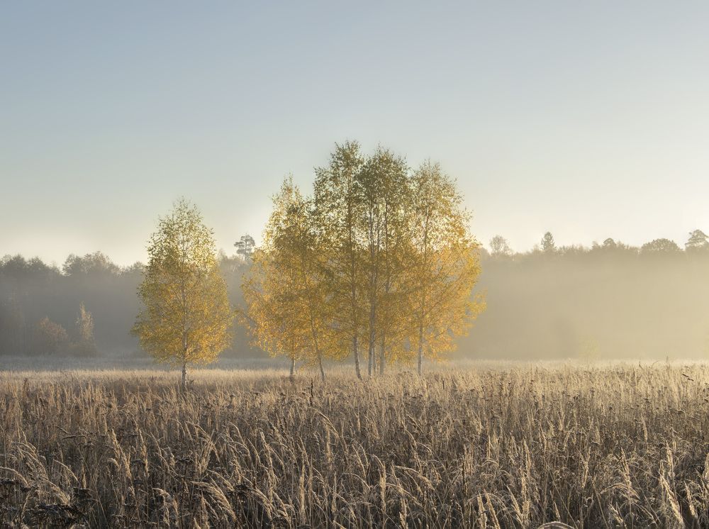 Фотография автора Ольга Бонина
