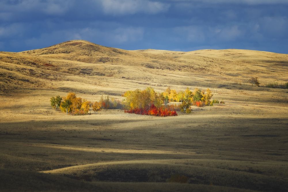 Фотография автора Антон Антонов