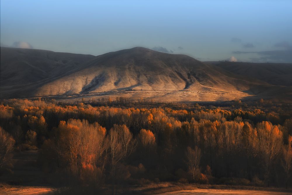 Фотография автора Антон Антонов