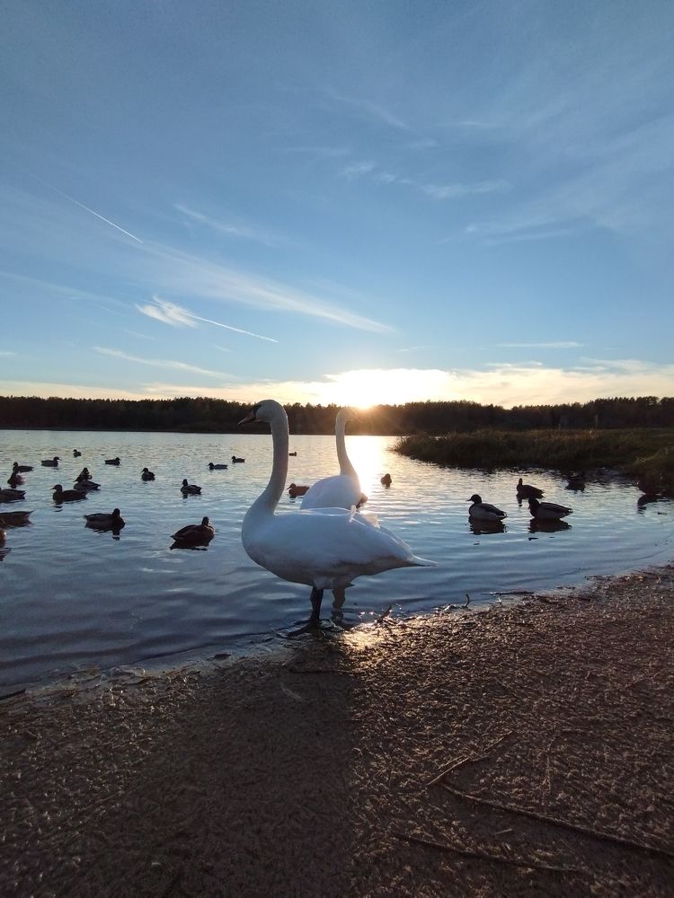 Photograph by Ольга Антохина