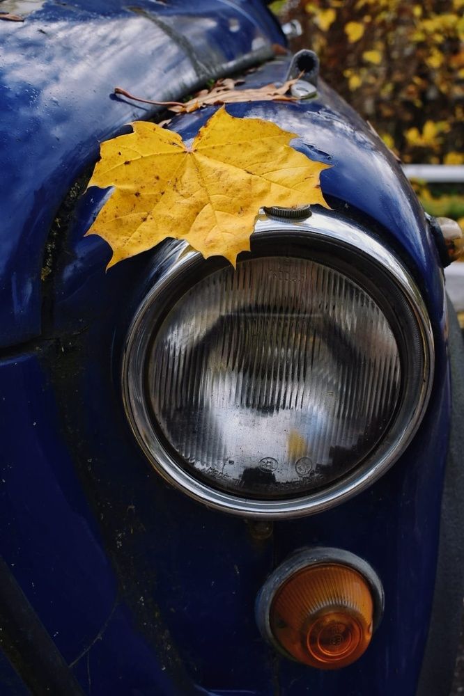 Photograph by Татьяна Абабкова