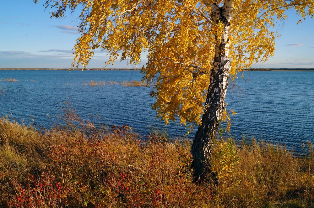 Photograph by Мишустина Татьяна