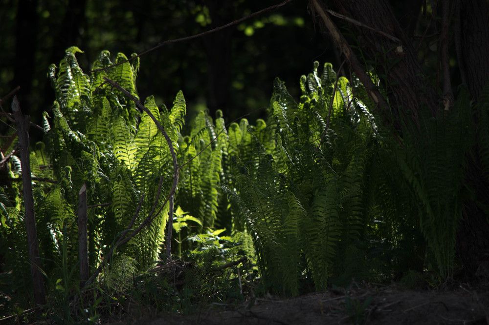 Photograph by Наталья Сорокина