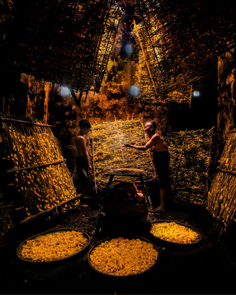 Фотография автора Đào Cảnh