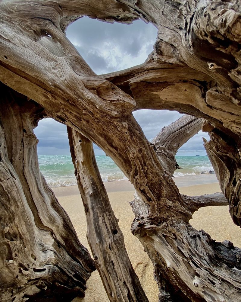 Photograph by Марина Танаева