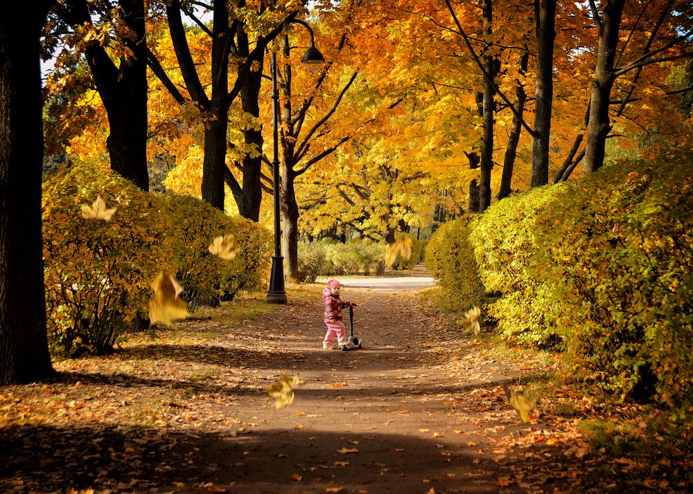 Фотография автора Корягина Катарина