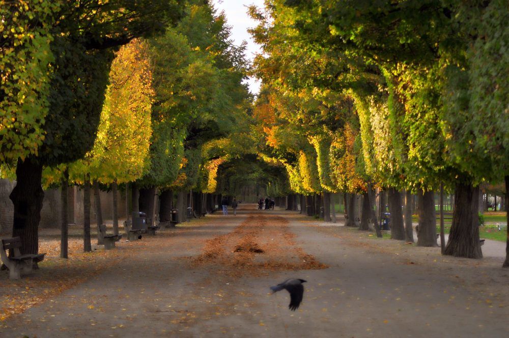 Photograph by Stoyan Baev