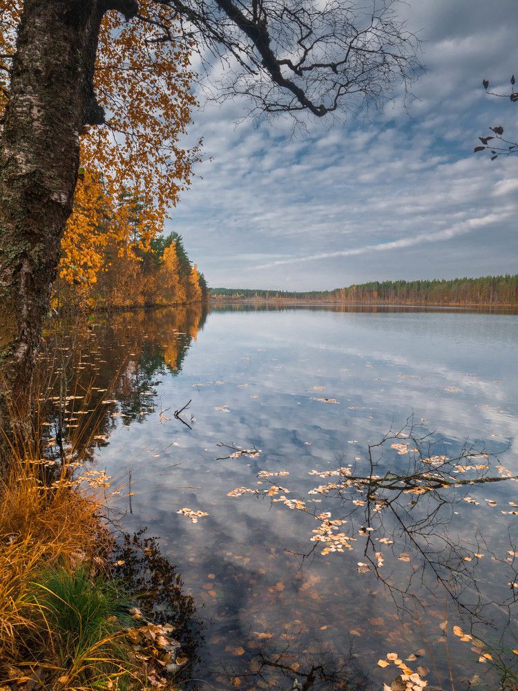 Photograph by Антон