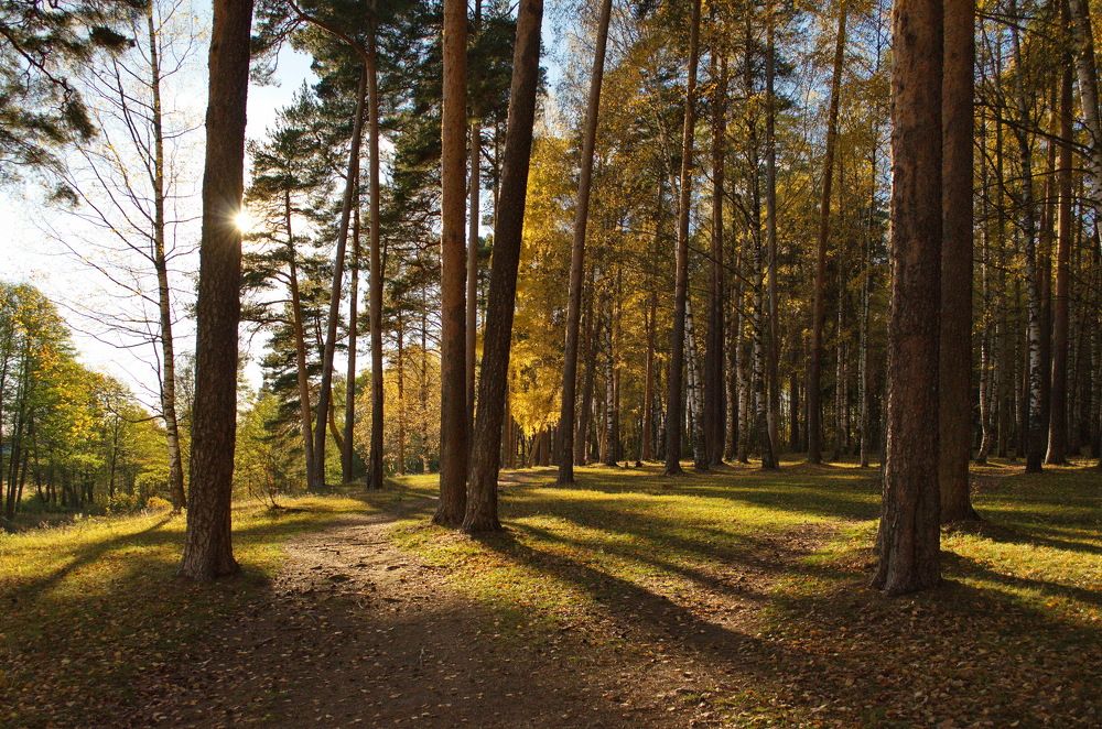 Photograph by Сергей Клапишевский