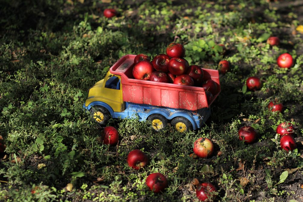 Photograph by Виктория Суркова