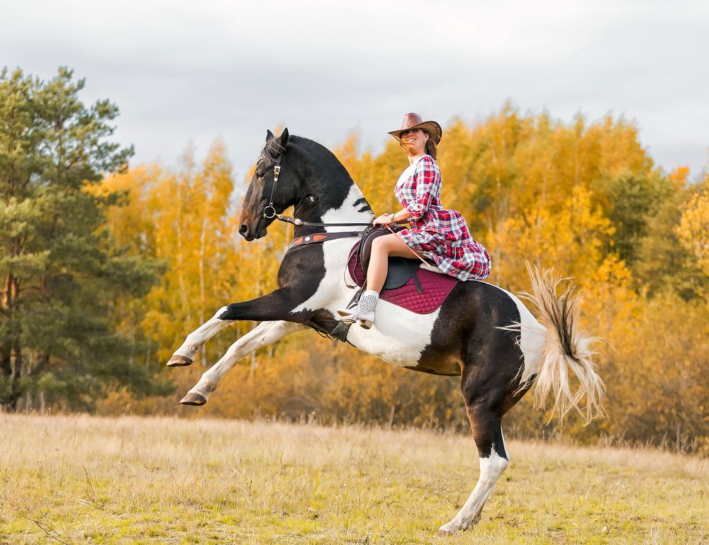 Фотография автора Yulia  Maximova