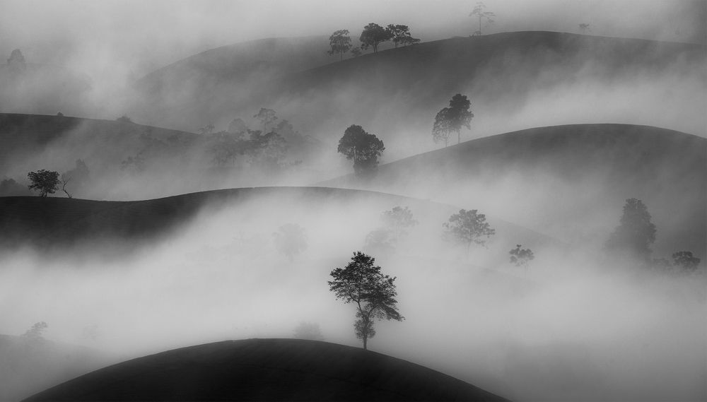 Фотография автора Đào Cảnh