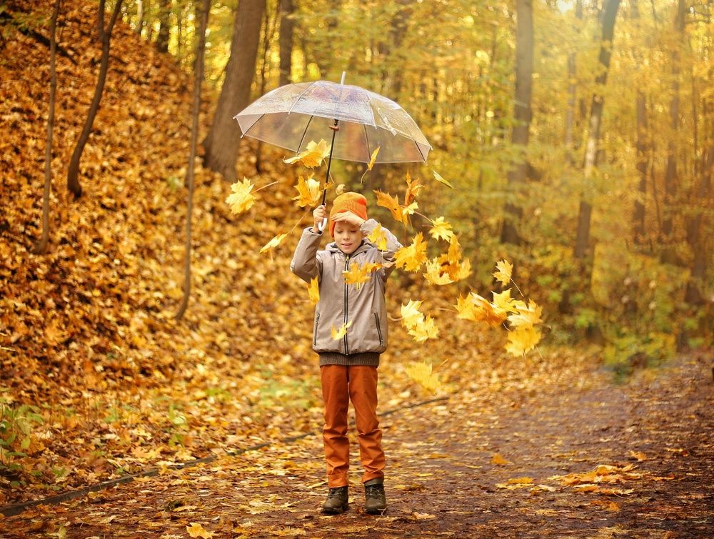 Photograph by 